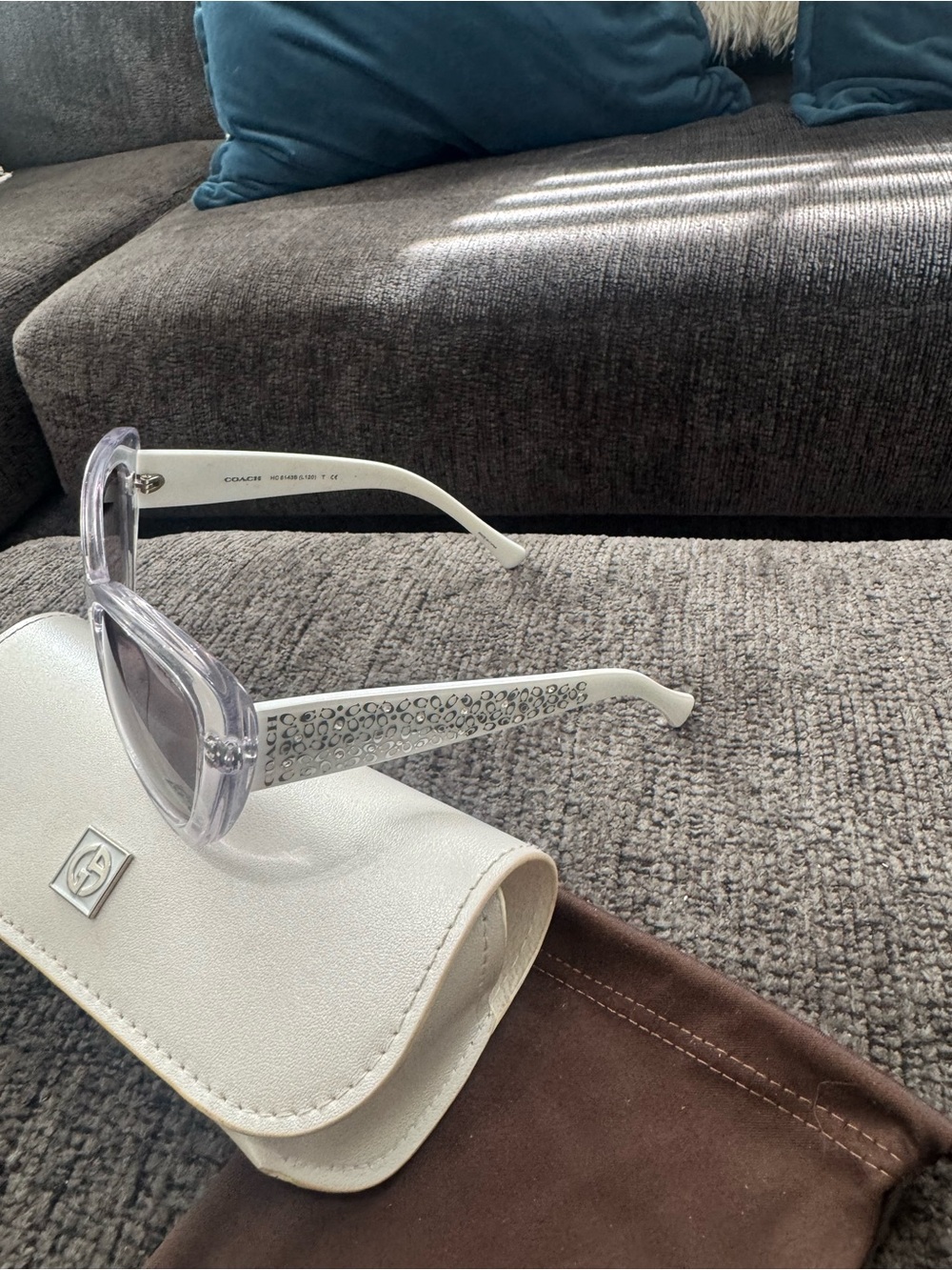 Coach sunglasses with Giorgio Armani Cream Sunglasses Case with Brown Dust Pouch